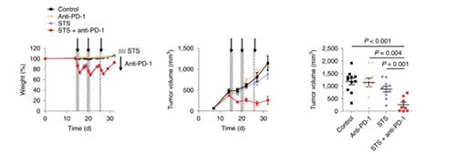 ������鼰��ʹ��PD-1�Ʒ���ģ��С��������������������ɶ��ڼ������PD-1�Ʒ���393Pϸ��ͬԴ��ֲ����С�����ڵ���������������ŵ���������������