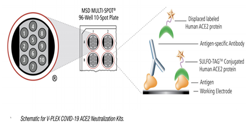 ���������������(CLBA)���кͿ�����ԭ��