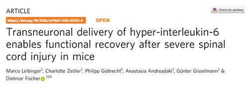 Nature����̱������һ�������������Ӳ�Զ��