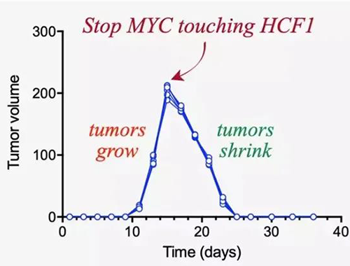 ���ԡ��ڻ����������Ѱ�����������������һ��û����˵����