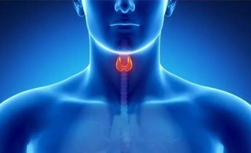 Science�ٵ� | �ҿ���״�ٵ�������ɴ����������������лҩ��������