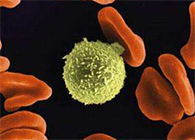 Science�ӿ���һ��FDA��׼�Ŀ���кҩ������öԿ����Ƶ���ҩ��