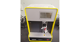 loser��͸ѹ��