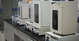 ϸ�������