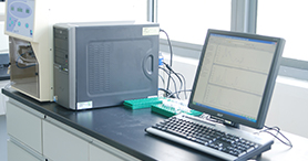 ����ʵ������