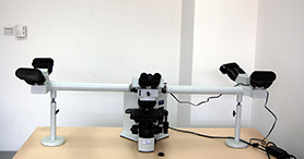 ���˹�����΢��