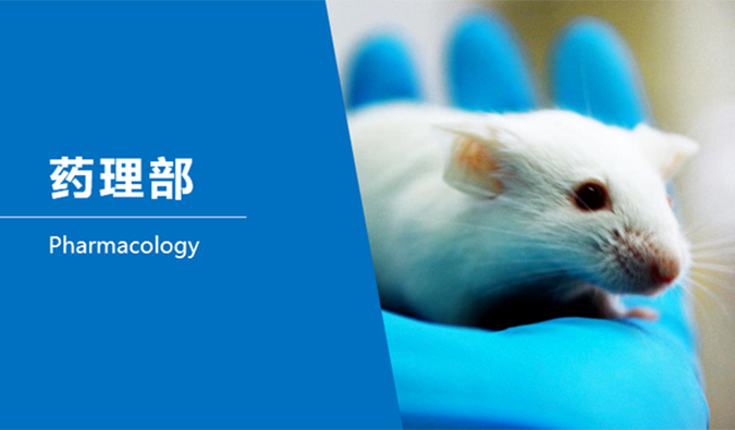 ����÷�ٴ�ǰ�о�-ҩ����