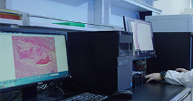 �����Ӳ�