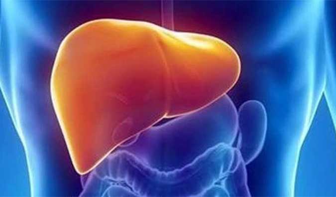 ������÷������NASH������ϣ�������ն�HPD001�������������ٴ�����