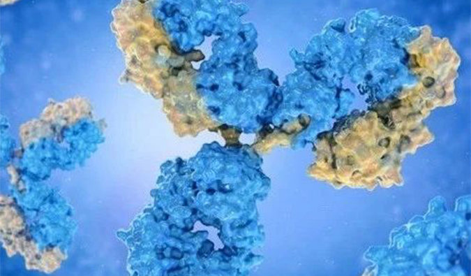 ���� | ˫��ҩ���з��������г�Զ���������