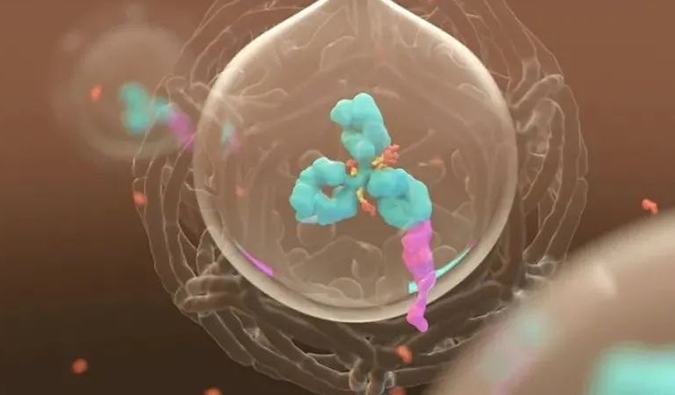 ���� | ����÷������ʶADC����֮��