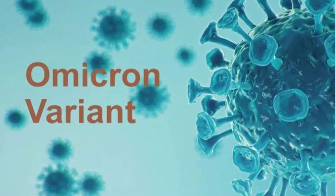 �¹ڲ��������������֡���Ϯ������������������ȫ��ʶmRNA����