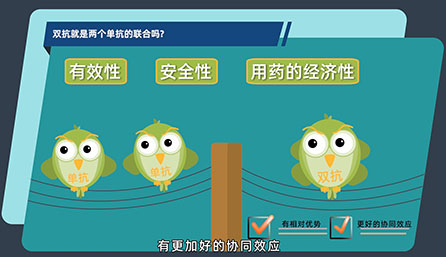 ˫����������������������������