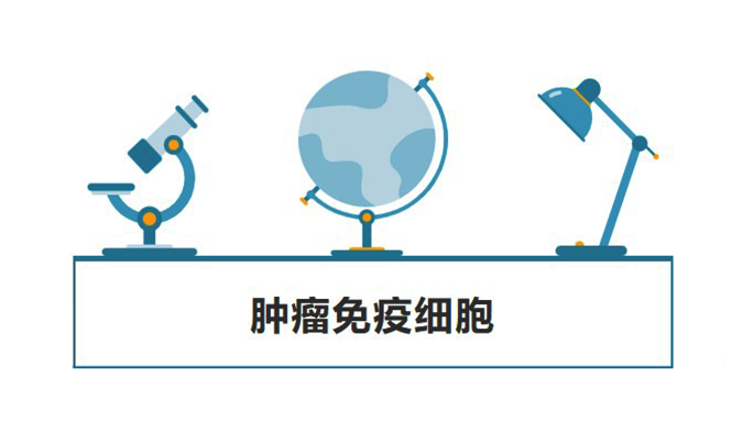 ����ҩ����������������������ϸ��