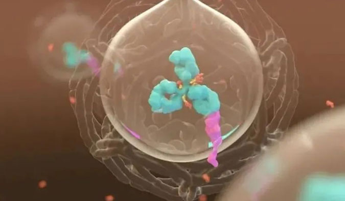 ���� | ADC��������Ϊ�����ҩ����׼���