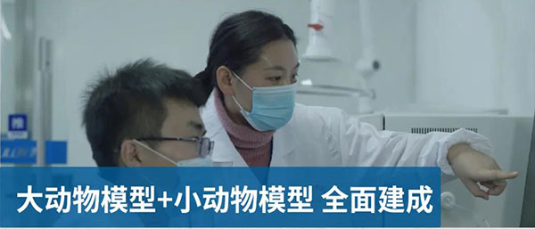 ´ó¶¯ÎïÄ£×ÓºÍС¶¯ÎïÄ£×ÓÖÜÈ«½¨³É.jpg ´ó¶¯ÎïÄ£×ÓºÍС¶¯ÎïÄ£×ÓÖÜÈ«½¨³É.jpg