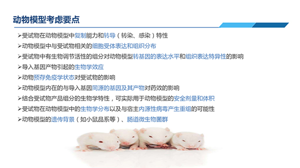 ¶¯ÎïÄ£×Ó˼Á¿Òªµã.jpg ¶¯ÎïÄ£×Ó˼Á¿Òªµã.jpg