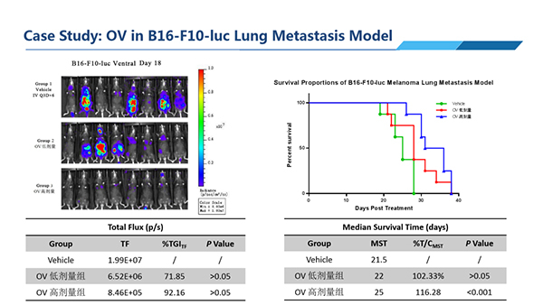 Case-Study--OV-in-B16-F10-lic-Lung-Metastasis-Model.jpg Case-Study--OV-in-B16-F10-lic-Lung-Metastasis-Model.jpg