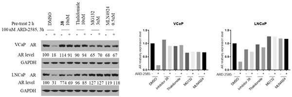 ARD-2585-µÄ×÷ÓûúÖÆ.png ARD-2585-µÄ×÷ÓûúÖÆ.png