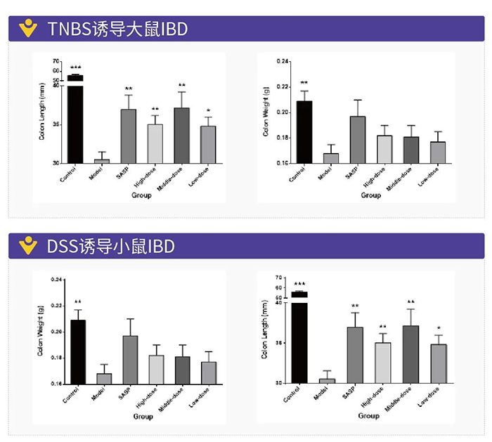 TNBS�յ��Ĵ���IBD��DSS�յ���С��IBD.png