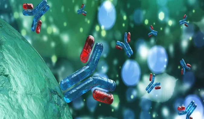 ADCҩ����������| һ������ADCҩ���о��µ�