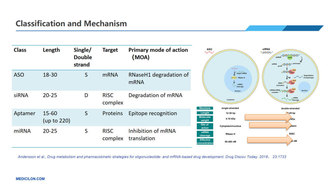 СºËËáÒ©ÎïµÄÖÖÀàºÍ»úÖÆ.jpg СºËËáÒ©ÎïµÄÖÖÀàºÍ»úÖÆ.jpg