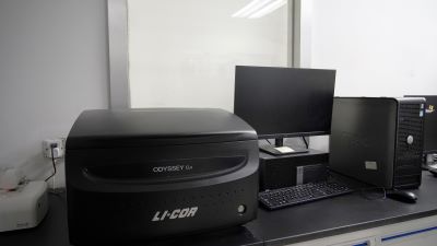 ˫ɫ���⼤�������