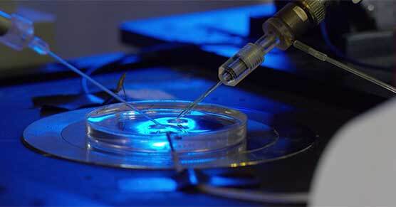 Cardiac-Electrophysiology-�������������