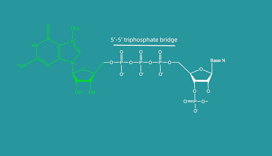 ʲô��ñ�ӽṹ