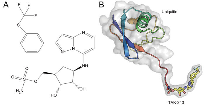 A-TAK-243-µÄ»¯Ñ§½á¹¹--B-TAK-243-·ºËؼӺÏÎïµÄ½á¹¹.jpg A-TAK-243-µÄ»¯Ñ§½á¹¹--B-TAK-243-·ºËؼӺÏÎïµÄ½á¹¹.jpg
