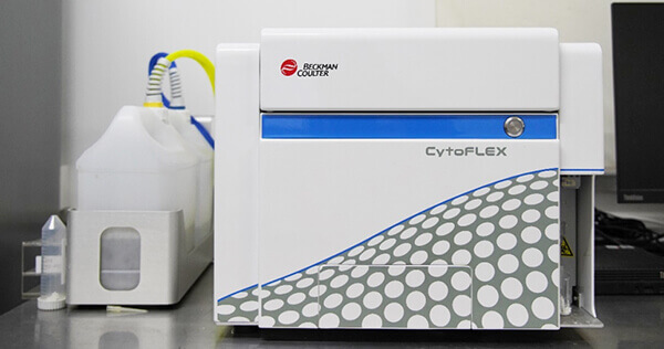 ��ʽϸ����