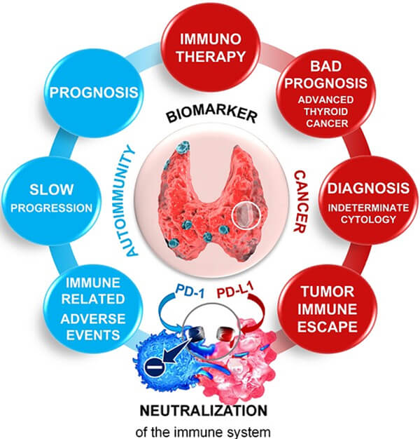 ÃÀ¸ß÷ÉúÎï±ê¼ÇÎï¾ÙÀý.jpg ÃÀ¸ß÷ÉúÎï±ê¼ÇÎï¾ÙÀý.jpg