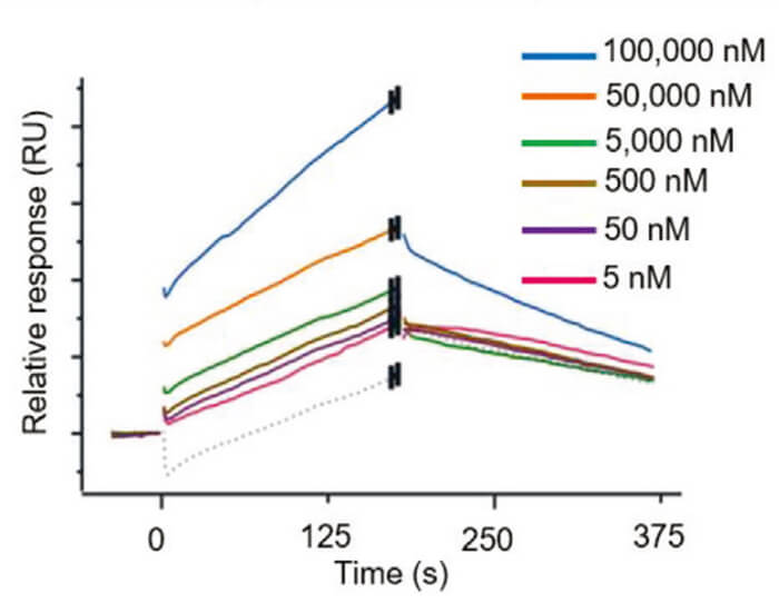 Surface-plasmon-resonance-(SPR).jpg Surface-plasmon-resonance-(SPR).jpg
