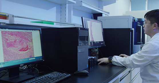 �����Ӳ�