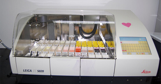 ȫ�Զ�Ⱦɫ��