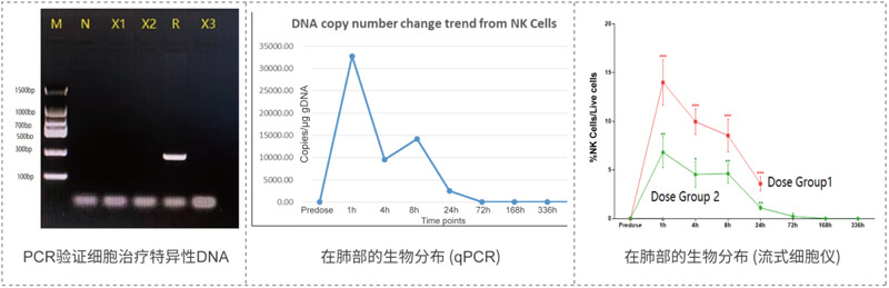 qPCR����ʽϸ������õļ��Ч��һ��.jpg