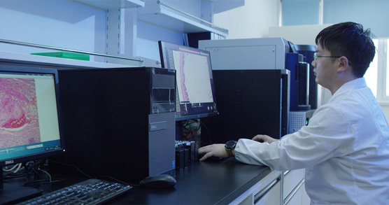 �����Ӳ�