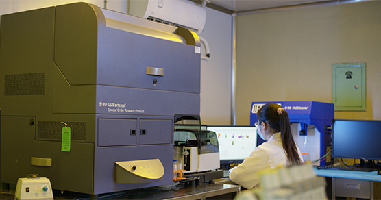 ��ʽϸ����