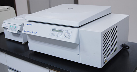 �������Ļ�