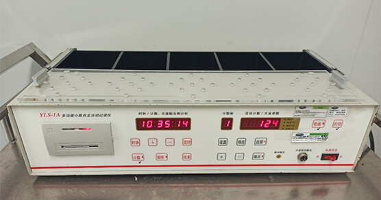 С�������˶���