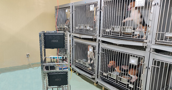 ���ֻ�����ң��ϵͳ