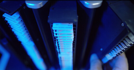 ������Ƭ