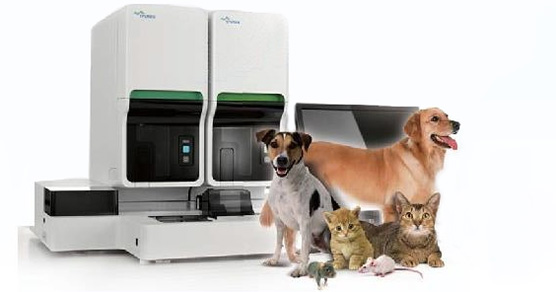 ȫ�Զ�ѪҺ������