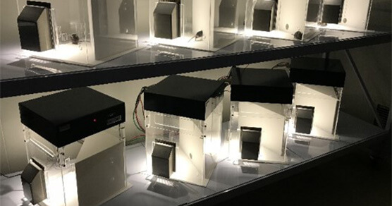 �ں�����