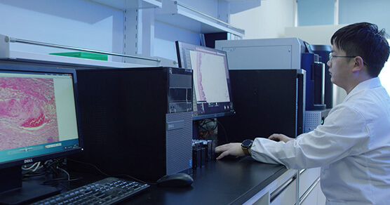 �����Ӳ�