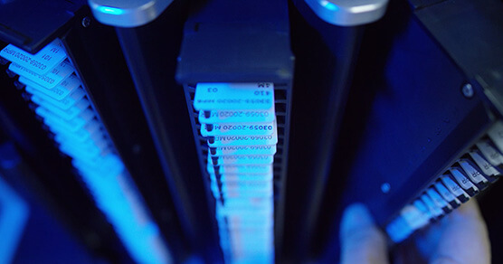 ������Ƭ