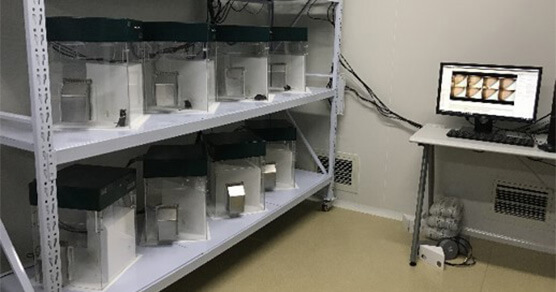 �ں�����