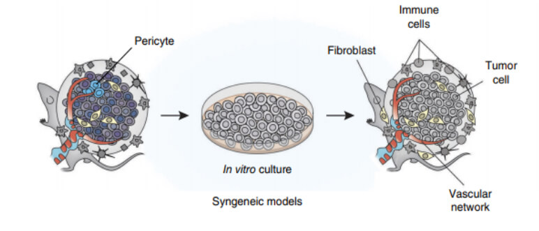 ͬÖÖÖ×ÁöÒÆÖ²Ä£×Ó.jpg ͬÖÖÖ×ÁöÒÆÖ²Ä£×Ó.jpg