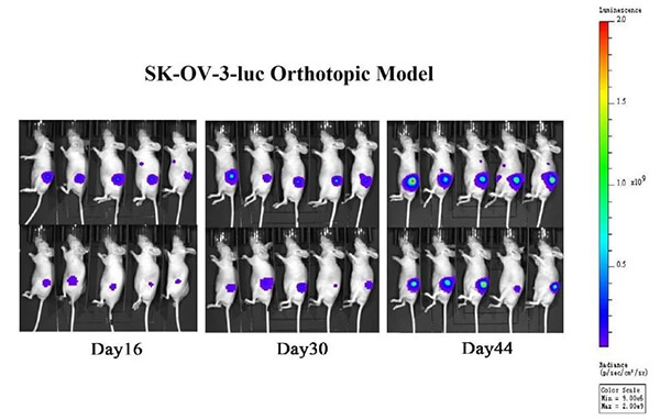 Âѳ²°©ÔÎ»ÒÆÖ².jpg Âѳ²°©ÔÎ»ÒÆÖ².jpg