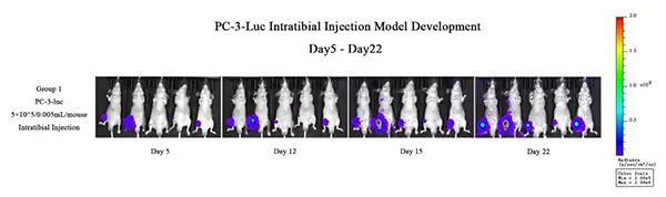 ëֹǹÇËèÇ»ÔÎ»ÒÆÖ².jpg ëֹǹÇËèÇ»ÔÎ»ÒÆÖ².jpg